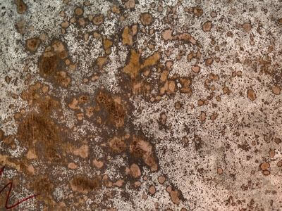 Professional attic mold remediation services in Marina Del Rey